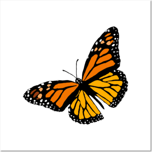 Monarch Butterfly Design Posters and Art